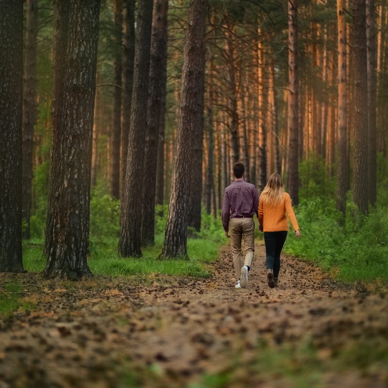 i benefici della camminata nella natura