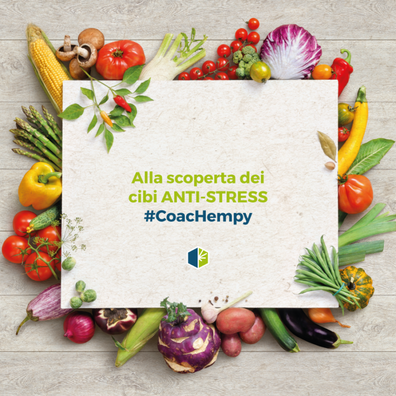 cibi antistress